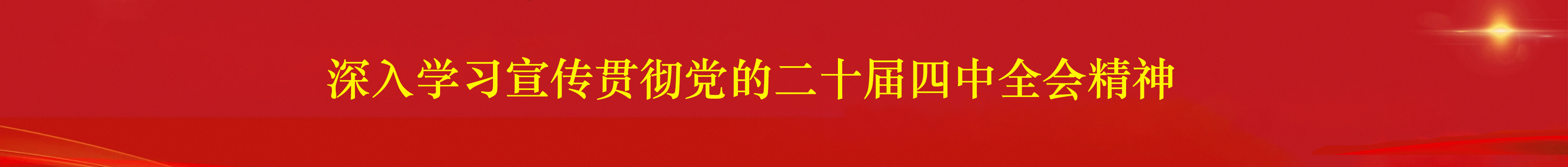 党的二十届四中全会