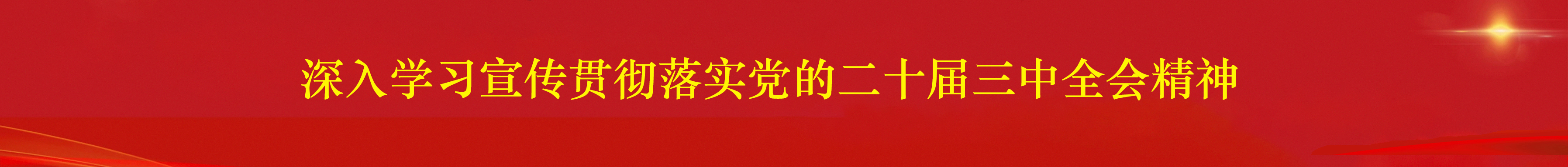 深入学习宣传贯彻落实党的二十届...